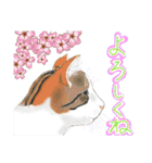 ゆるっとツンデレ ～ネコ科編～（個別スタンプ：14）