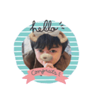 ぴよのかわいいかお（個別スタンプ：3）