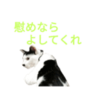 rhyme life4（個別スタンプ：4）