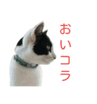 rhyme life4（個別スタンプ：5）