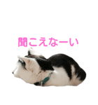 rhyme life4（個別スタンプ：6）