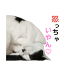rhyme life4（個別スタンプ：8）