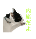 rhyme life4（個別スタンプ：9）