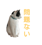 rhyme life4（個別スタンプ：10）