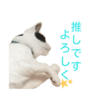 rhyme life4（個別スタンプ：11）