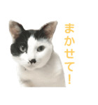 rhyme life4（個別スタンプ：12）