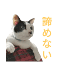 rhyme life4（個別スタンプ：14）