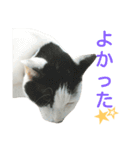 rhyme life4（個別スタンプ：15）