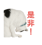 rhyme life4（個別スタンプ：16）