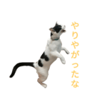 rhyme life4（個別スタンプ：17）