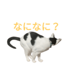 rhyme life4（個別スタンプ：18）