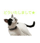 rhyme life4（個別スタンプ：23）