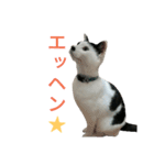 rhyme life4（個別スタンプ：24）
