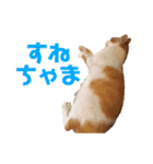 マッドまるた 怒りのスタンプ（個別スタンプ：27）