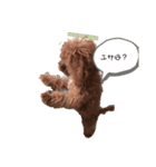 ぼくはクック（個別スタンプ：2）