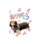 ♡ななみ♡（個別スタンプ：5）