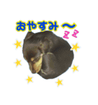 ♡ななみ♡（個別スタンプ：9）