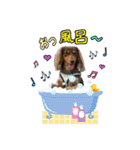 ♡ななみ♡（個別スタンプ：10）