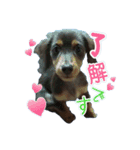 ♡ななみ♡（個別スタンプ：13）