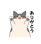 まるいねこ（白黒）（個別スタンプ：2）