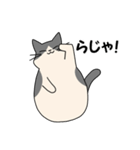 まるいねこ（白黒）（個別スタンプ：5）