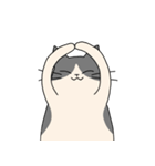 まるいねこ（白黒）（個別スタンプ：7）