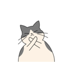 まるいねこ（白黒）（個別スタンプ：8）