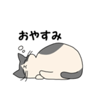 まるいねこ（白黒）（個別スタンプ：9）