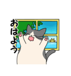 まるいねこ（白黒）（個別スタンプ：10）