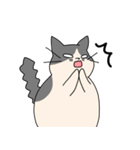 まるいねこ（白黒）（個別スタンプ：16）