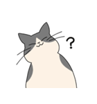 まるいねこ（白黒）（個別スタンプ：18）