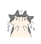 まるいねこ（白黒）（個別スタンプ：20）
