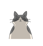 まるいねこ（白黒）（個別スタンプ：26）