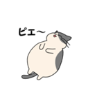 まるいねこ（白黒）（個別スタンプ：28）