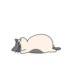 まるいねこ（白黒）（個別スタンプ：30）