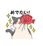 まるいねこ（白黒）（個別スタンプ：33）