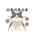 まるいねこ（白黒）（個別スタンプ：34）