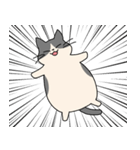 まるいねこ（白黒）（個別スタンプ：35）