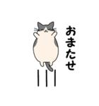 まるいねこ（白黒）（個別スタンプ：37）