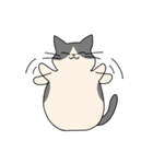 まるいねこ（白黒）（個別スタンプ：40）