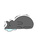 まるいねこ（グレー）（個別スタンプ：21）