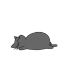まるいねこ（グレー）（個別スタンプ：30）