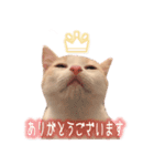 まんちかんのこむぎ（個別スタンプ：4）