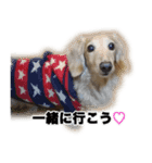 愛犬ルーのスタンプ（個別スタンプ：7）