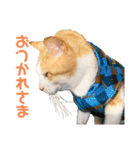 猫のラロ（個別スタンプ：5）
