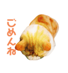猫のラロ（個別スタンプ：14）