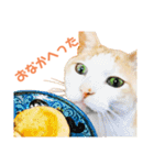 猫のラロ（個別スタンプ：18）