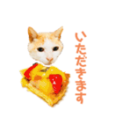 猫のラロ（個別スタンプ：19）