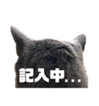 猫のにゃーすけとぼのときんとおととホプ（個別スタンプ：22）
