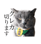 猫のにゃーすけとぼのときんとおととホプ（個別スタンプ：29）